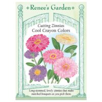 Zinnia, Cutting, Cool Crayon Colors