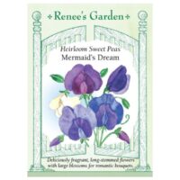 Sweet Pea, Mermaid's Dream