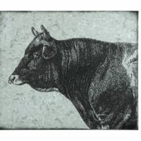 Cow Galvanized Wall Art