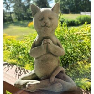 Concrete Cat, Yoga