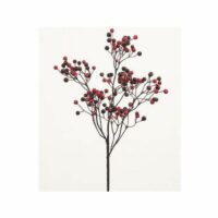 Water Berry Pick