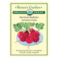 Radish, German Giant Organic