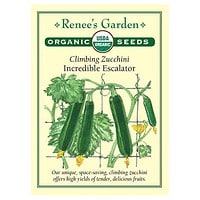 Squash, Summer, Zucchini Incredible Escalator Organic