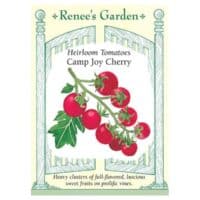 Tomato, Cherry, Camp Joy Heirloom
