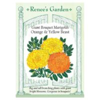 Marigold, African Giant Bouquet, Orange & Yellow Beast