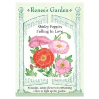 Poppy, Shirley, Falling in Love