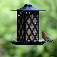 Metal Gazebo Bird Feeder