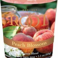 Votive, Peach Blossom