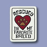 Ceramic Magnet, Rescued