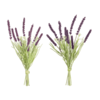 Lavender Bundle