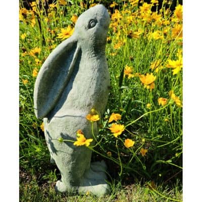 Garden Statues Outdoor Large Clearance Animal Garden Ornaments Outdoor Toucan Statue Bird Animal Model Simulation Small Bird Resin Painting Garden Hom Concrete Rabbit, Large Feet