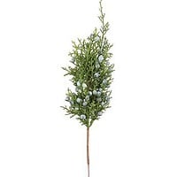 Juniper Pick
