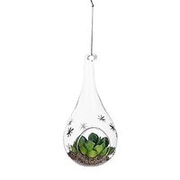 Succulent In Glass Ornament