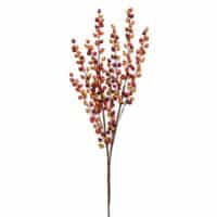 Orange Berry Bush