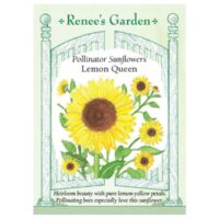 Sunflower, Lemon Queen