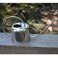 Stainless Steel Watering Can