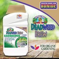 Captain Jack's™ DeadWeed Brew Concentrate