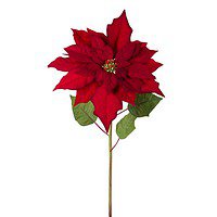 Red Poinsettia Stem