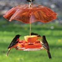 Weatherguard Oriolefest Feeder