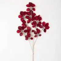 Red Shefflera Spray