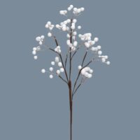 White Berry Pick