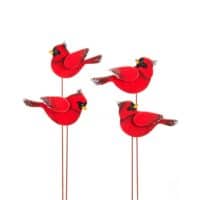 Wood Cardinal Pick