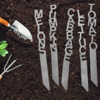 Spell It Out Plant Marker