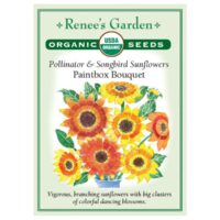 Sunflower, Paintbox