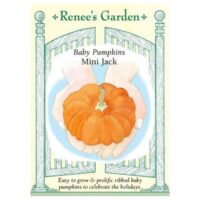 Pumpkin, Mini Jack