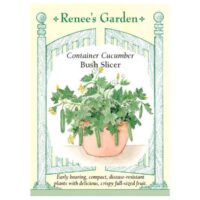Cucumber, Bush Slicer