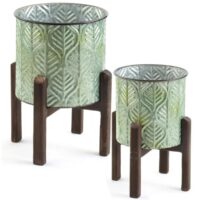 Leaf Plant Cover On Stand