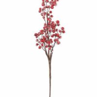 Red Iced Berry Pick