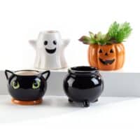 Halloween Mini Planter