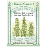 Bells Of Ireland, Apple Green