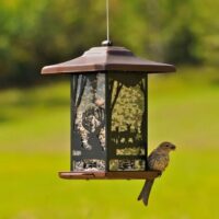 Wilderness Lantern Feeder