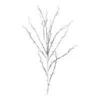 Snowy Birch Branch