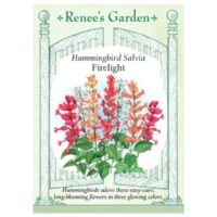 Salvia, Hummingbird, Firelight