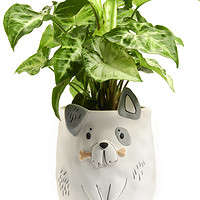Porcelain Dog Planter