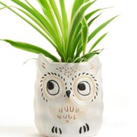 Porcelain Owl Planter