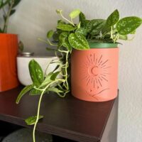 Moonscape Planter