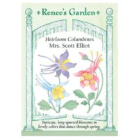 Columbine, Mrs. Scott Elliot