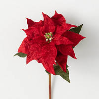 Poinsettia Stem, Red