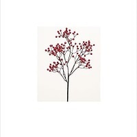 Red Mini Water Berry Pick