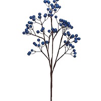 Blue Berry Pick