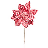 Red Snowy Poinsettia Stem