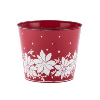 Red Pot with White Poinsettia