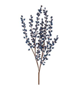 Blue Berry Bush