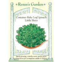 Spinach, Little Hero Container Baby
