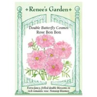 Cosmos, Double Rose Bon-Bon