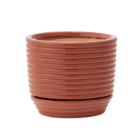 Rust Rings Planter